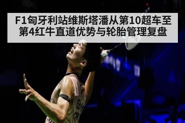 F1匈牙利站维斯塔潘从第10超车至第4红牛直道优势与轮胎管理复盘